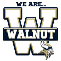 Walnut2 copy