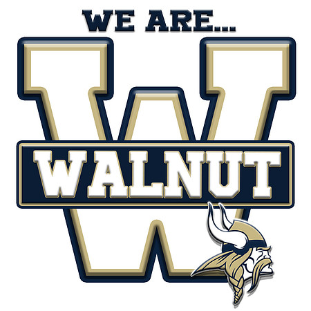 Walnut2 copy