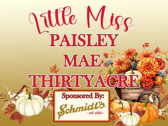 Paisley