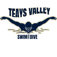 SWIM AND DIVE 1