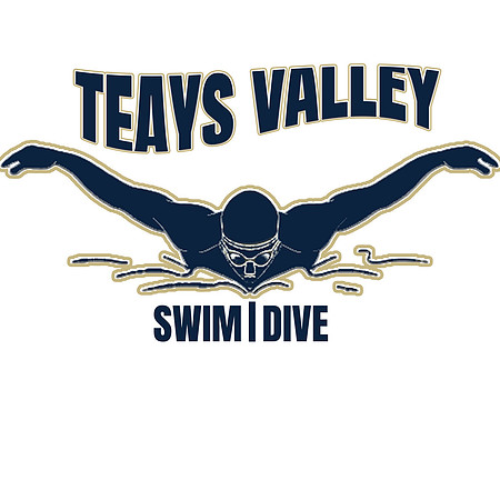SWIM AND DIVE 1