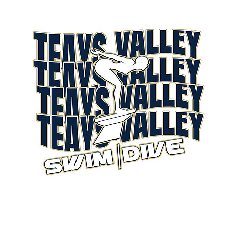 SWIM AND DIVE 2