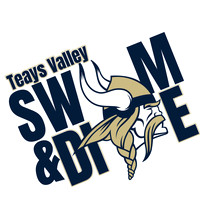 swIM AND DIVE WITH VIKING copy
