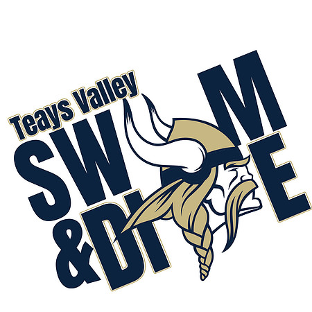swIM AND DIVE WITH VIKING copy
