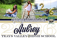 Aubrey 3