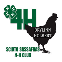 HOLBERT copy