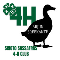 SReekanth