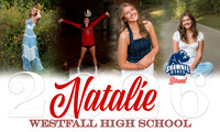 Banner 2