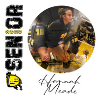 Hannah Meade volleyball copy