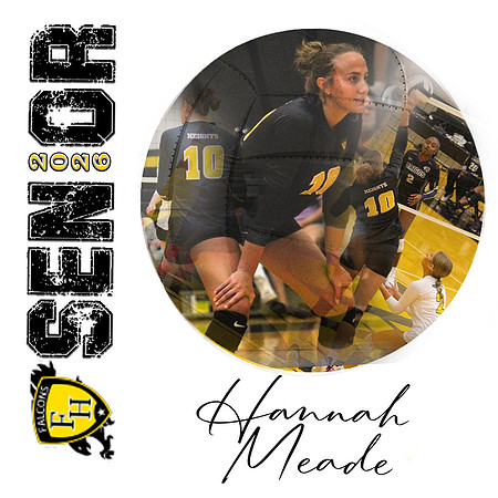 Hannah Meade volleyball copy