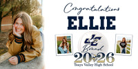 banner copy