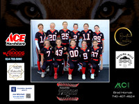 Tigers3