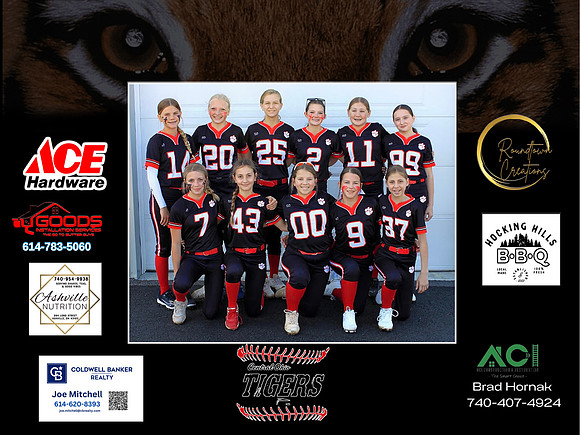 Tigers3