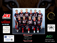 Central Ohio Tigers