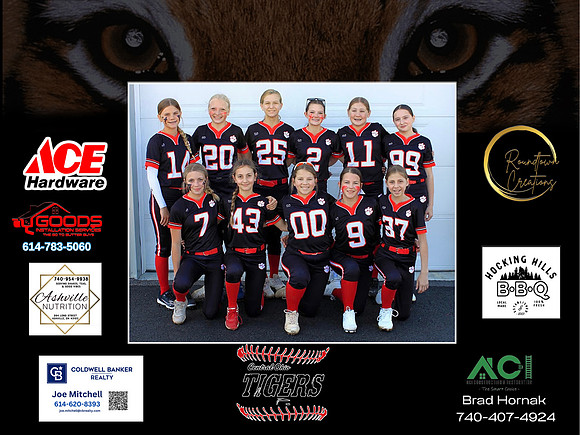 Tigers
