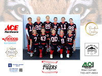 Tigers4