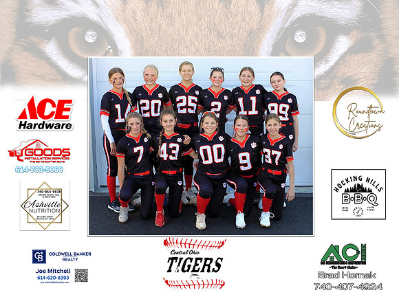 Tigers4