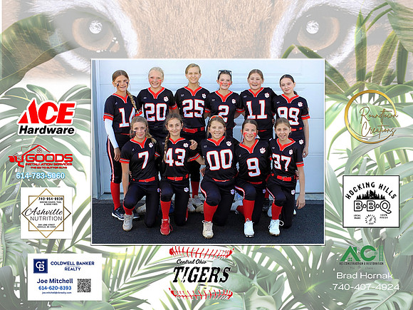 Tigers1