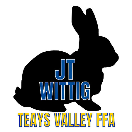 JT3