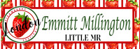 Little Mr