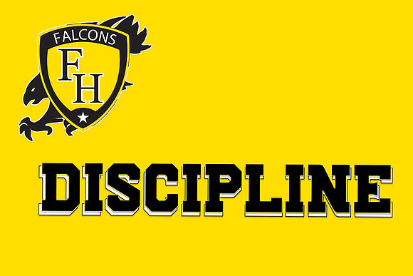 Discipline