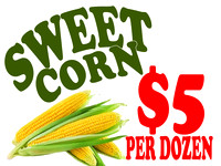sWEET CORN