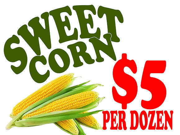 sWEET CORN