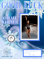 Werner_Aliyah copy