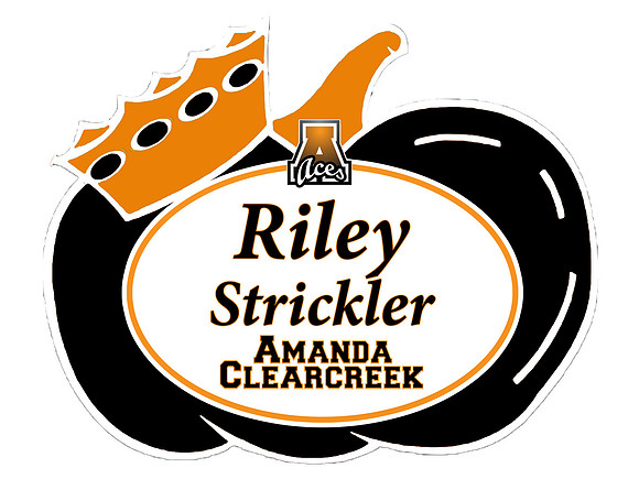 aMANDA - STRICKLER-