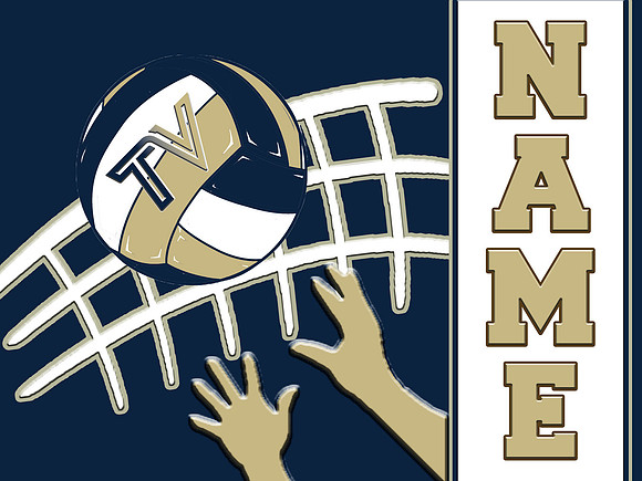 ball net