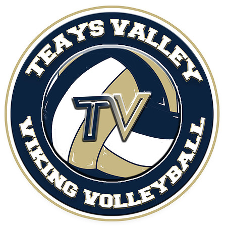 Volleyball magnet copy