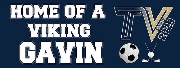Gavin copy