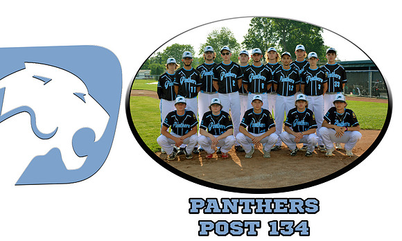 pANTHERS-Recovered copy