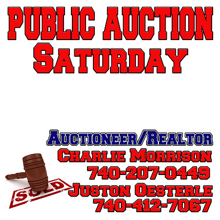 Public AUCTION copy