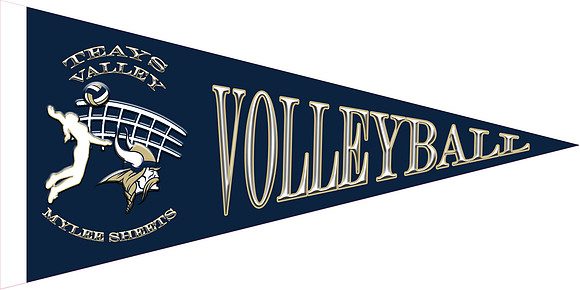 Volleyball -  Mylee Sheets copy