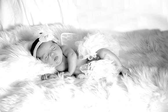 DSC_6581bw
