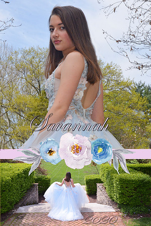 Savannah - Banner1