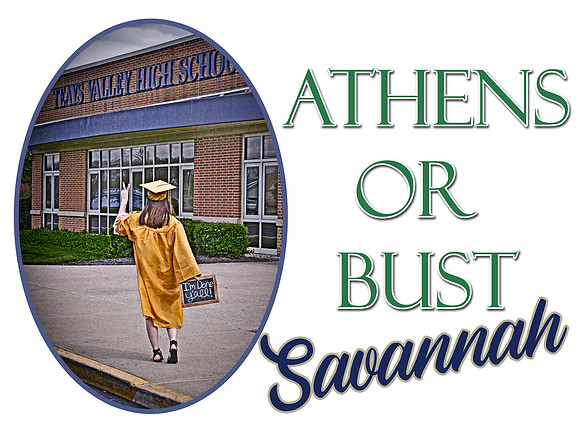 Savannah2
