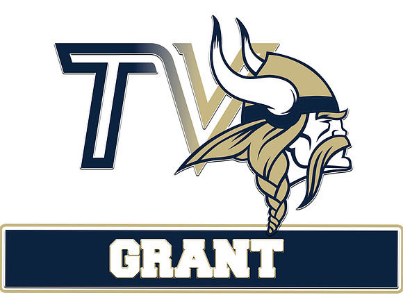 Viking - grant