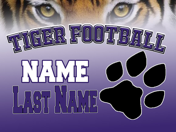 Tiger football copy