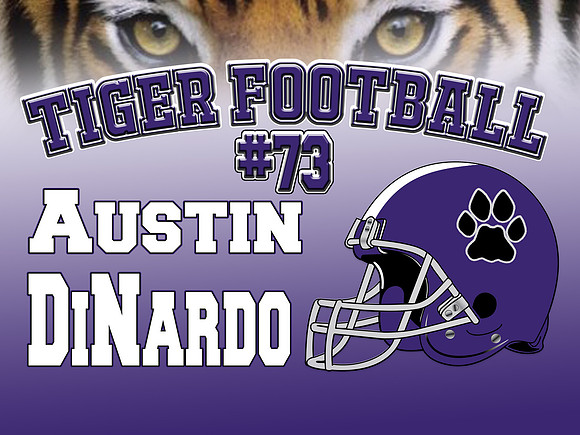 Tiger football copy