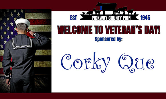 Veterans Day copy